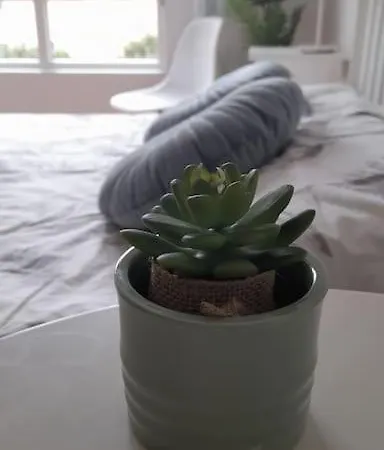 Coqueto A Dos Minutos De La Playa