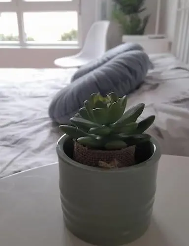 Coqueto A Dos Minutos De La Playa